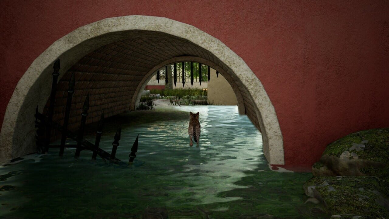 Curiosity