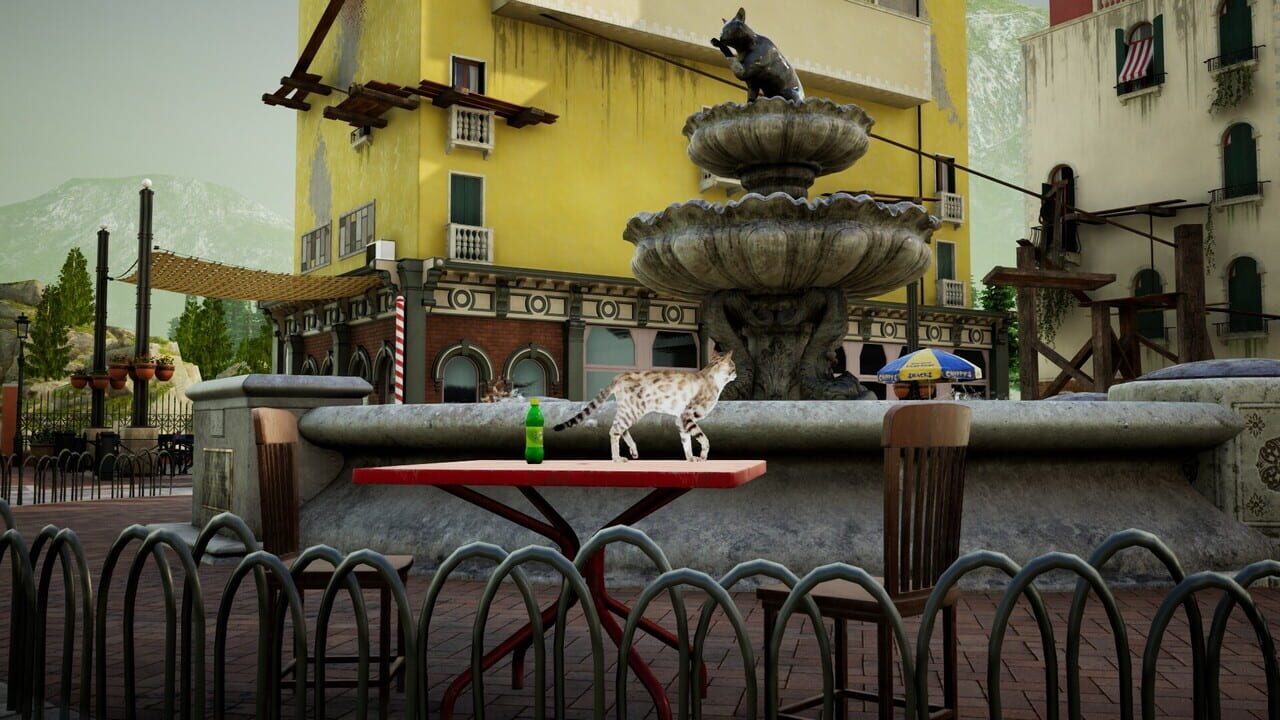Curiosity