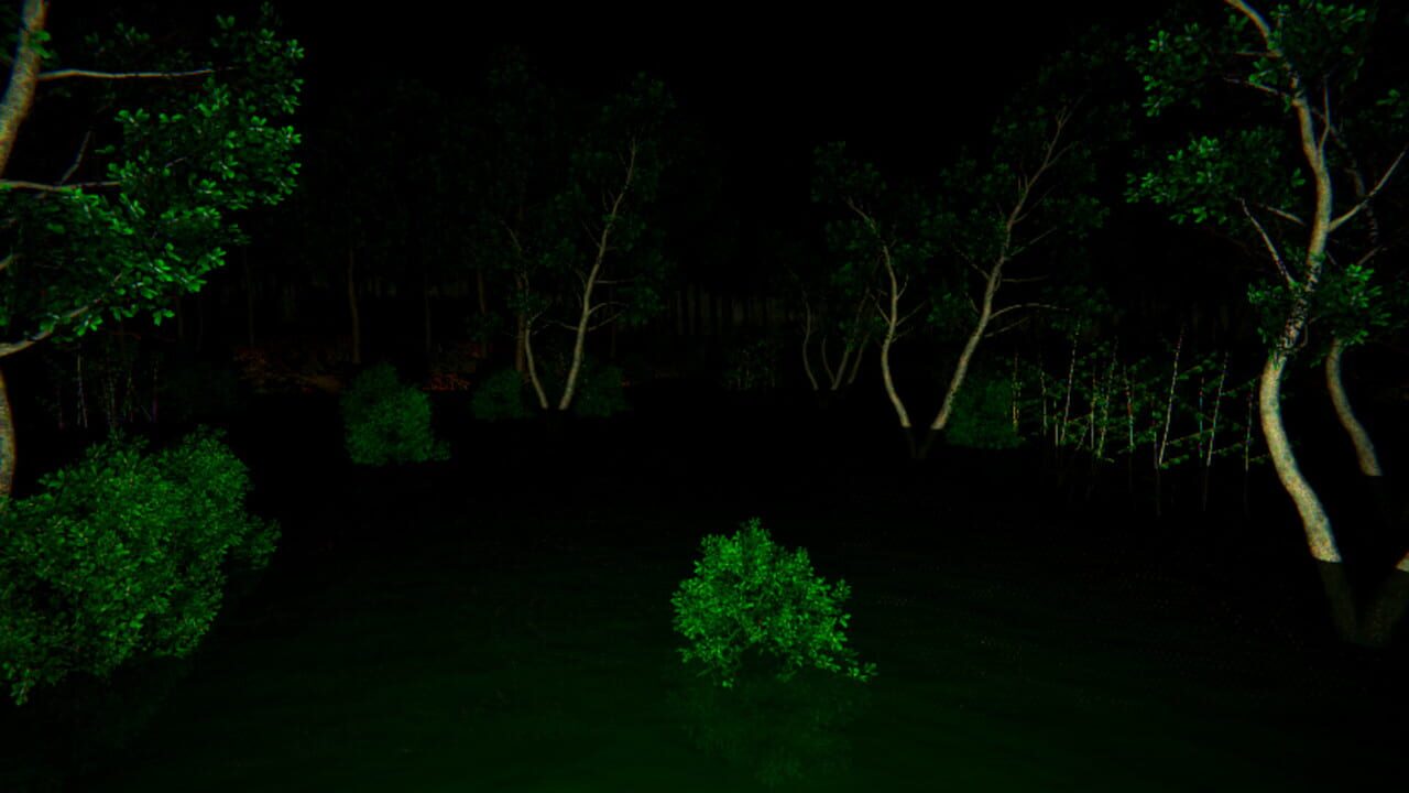 Aokigahara: The Death Forest