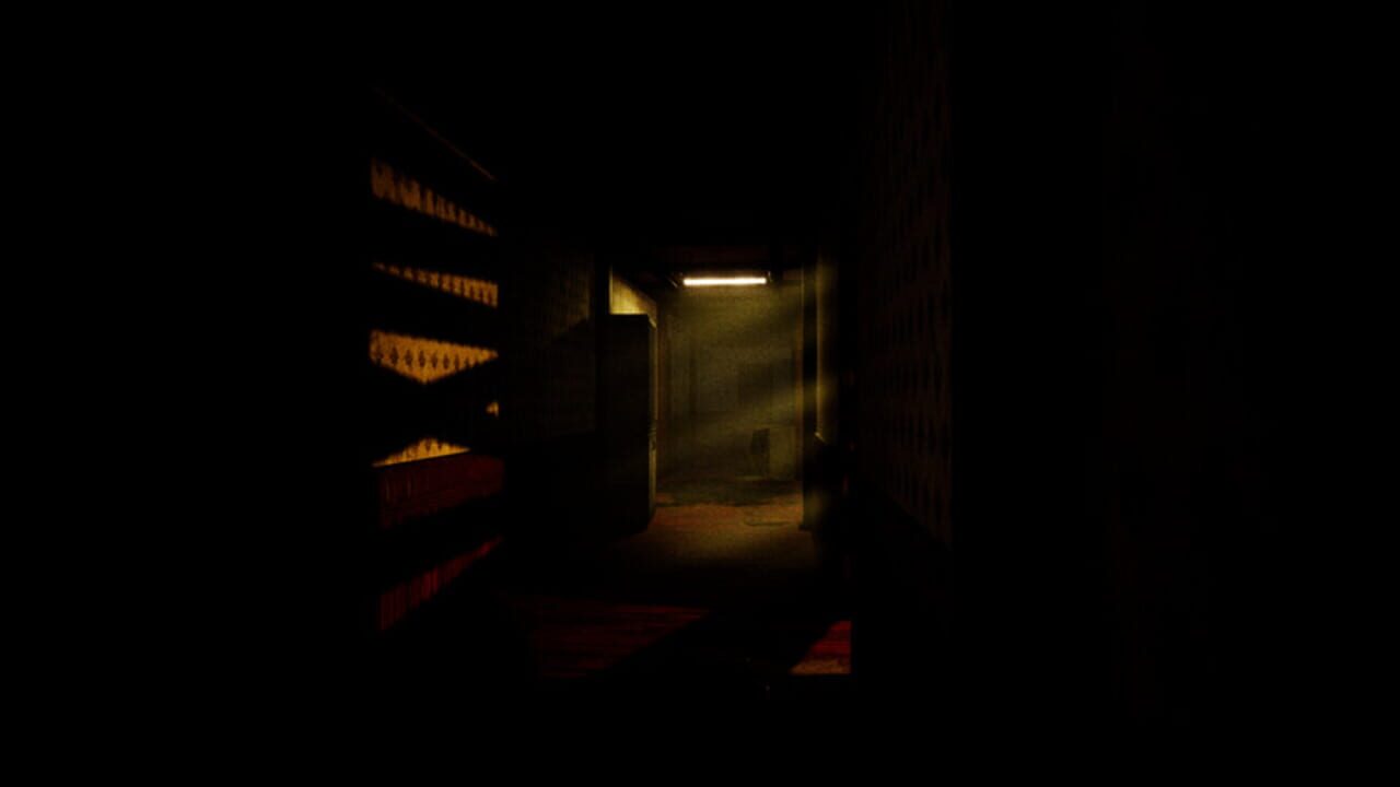 Dark Investigation: Experiment