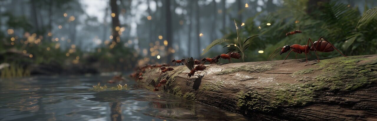 Empire of the Insects