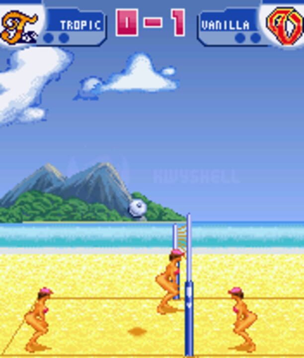 Leisure Suit Larry: Bikini Beach Volleyball