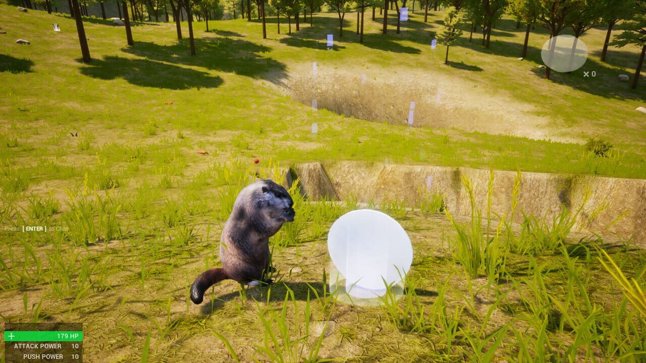 Marmot Fight Club
