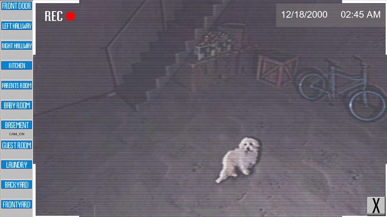 The Puppy