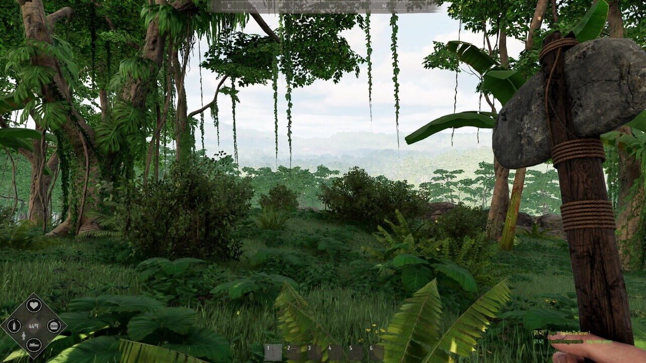 Mesorift Survival