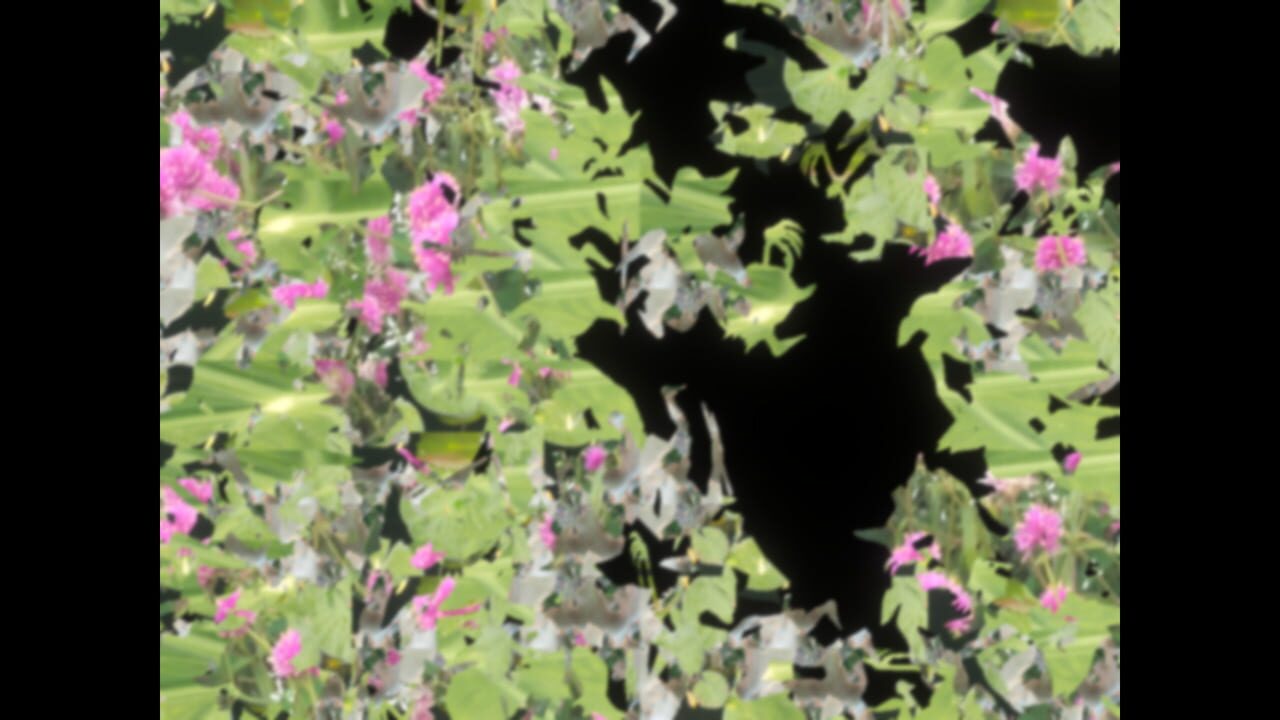 Floral Gutter
