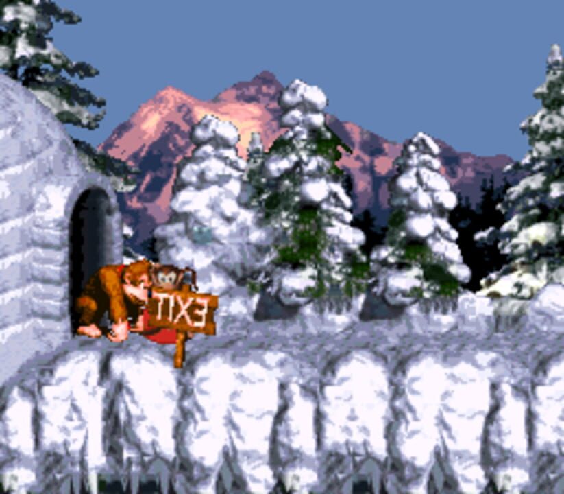 Donkey Kong Country Mirrored