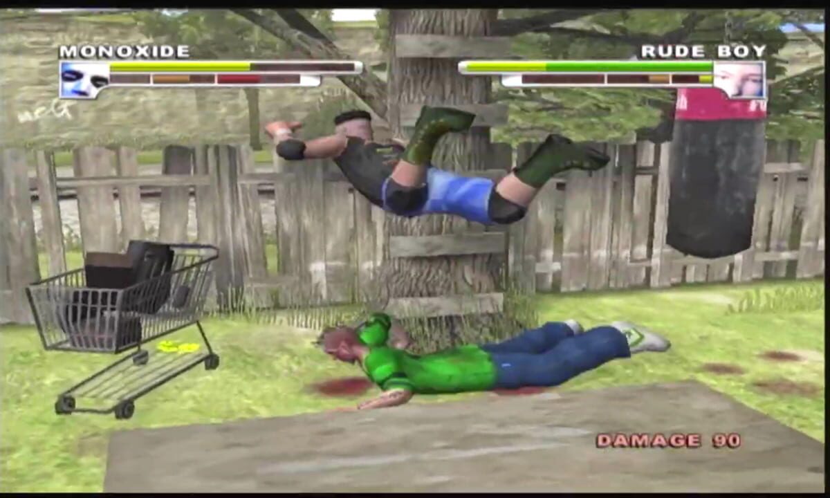 Backyard Wrestling: Don’t Try This at Home