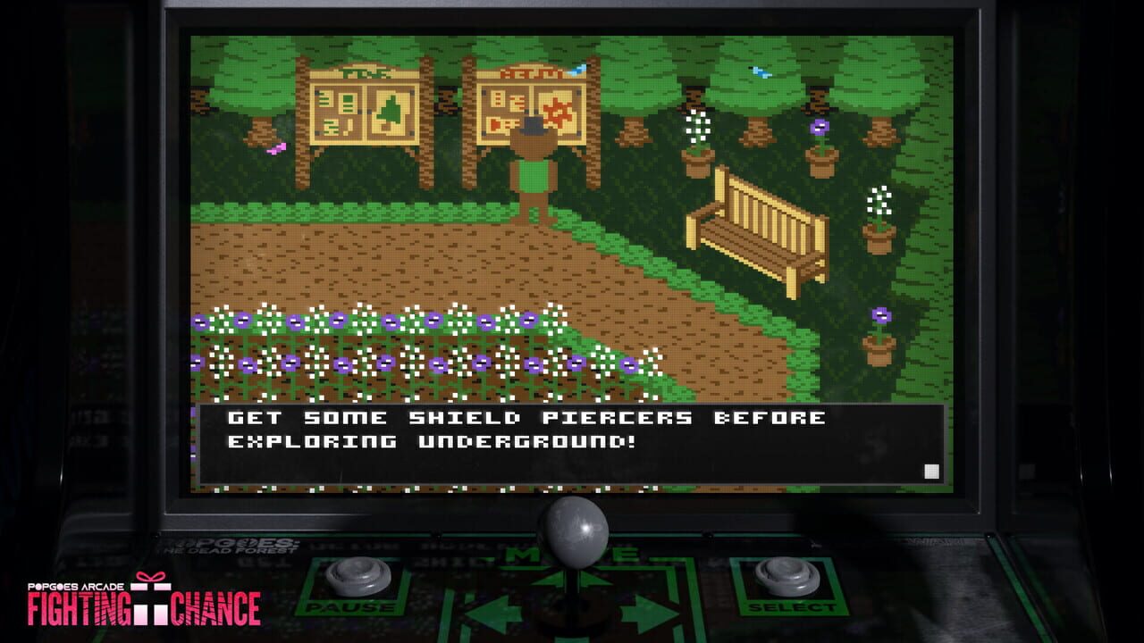 Popgoes Arcade: Fighting Chance