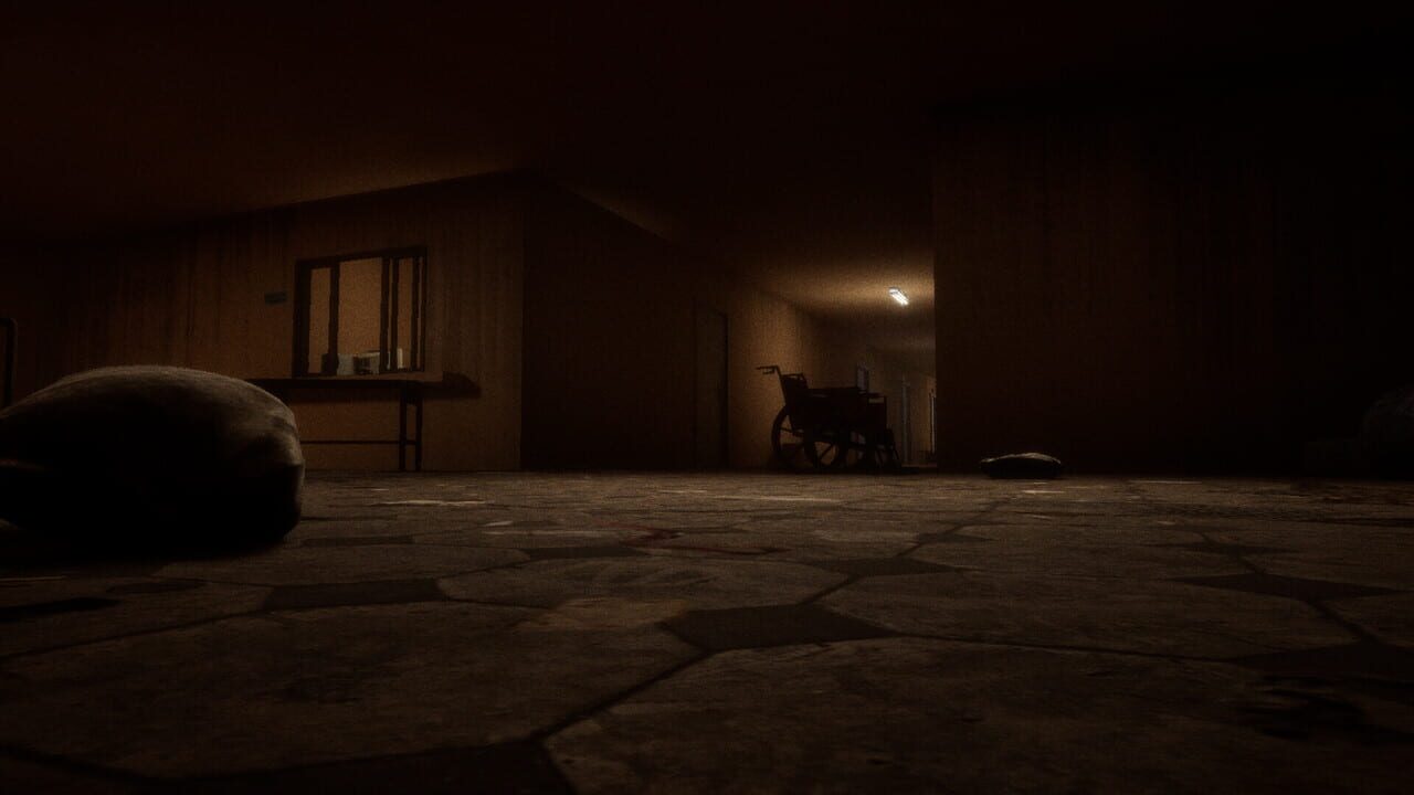 Echoveil: The Last Guest