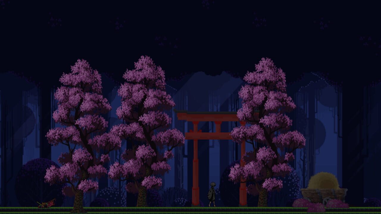 Tsan-shadow Ninja