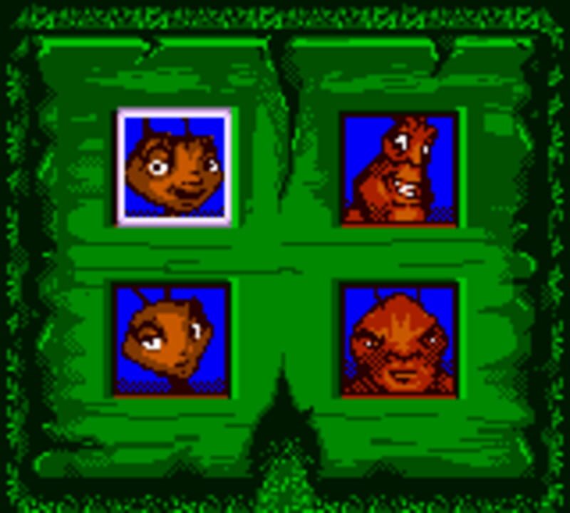 Antz World Sportz