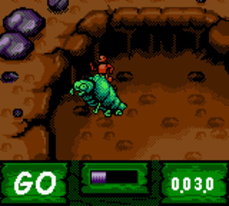 Antz World Sportz