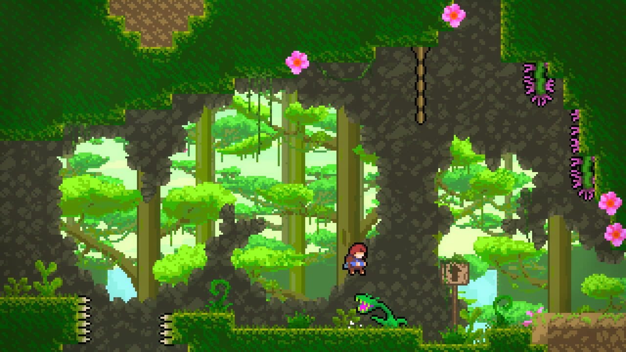 Celeste: Into The Jungle