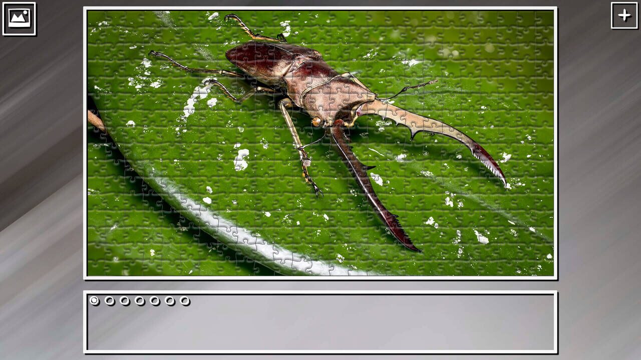 Super Jigsaw Puzzle: Generations – Bugs 2