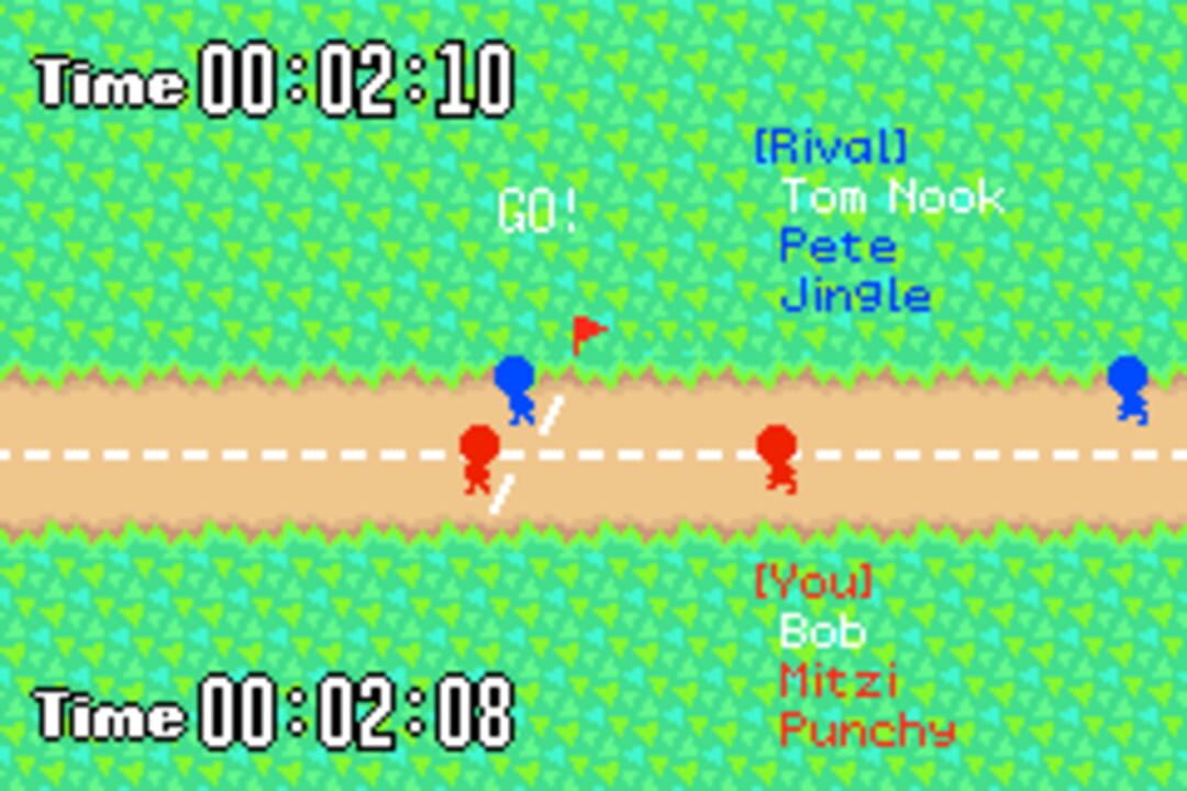 Animal Relay A