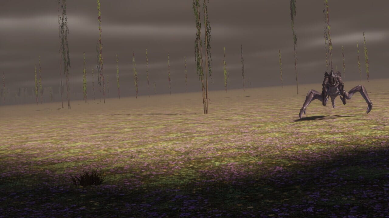 The Cursed Forest