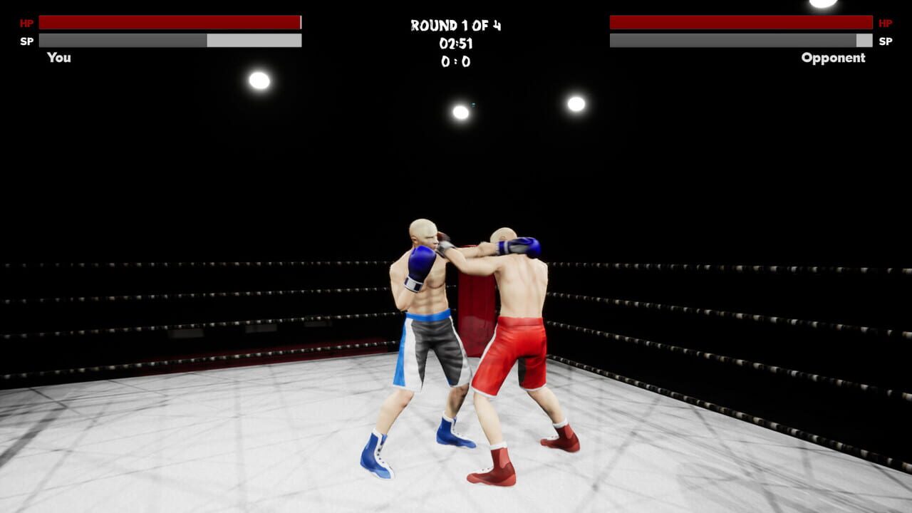 Boxing Simulator
