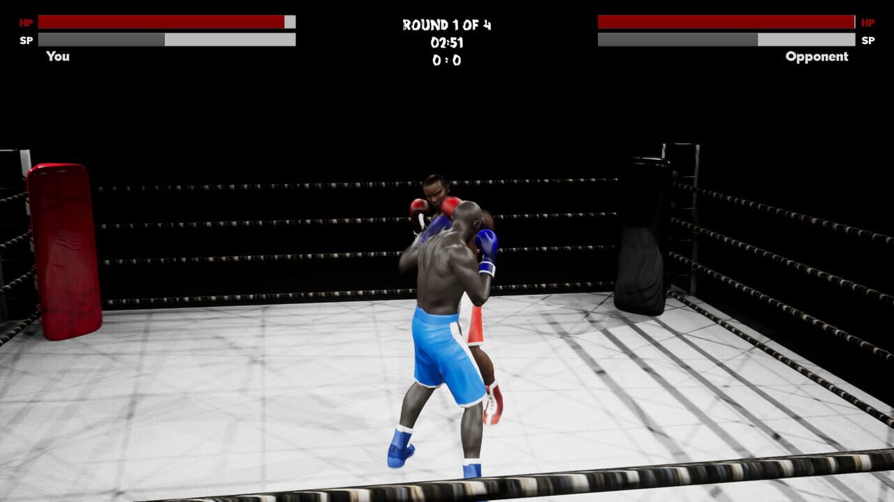 Boxing Simulator