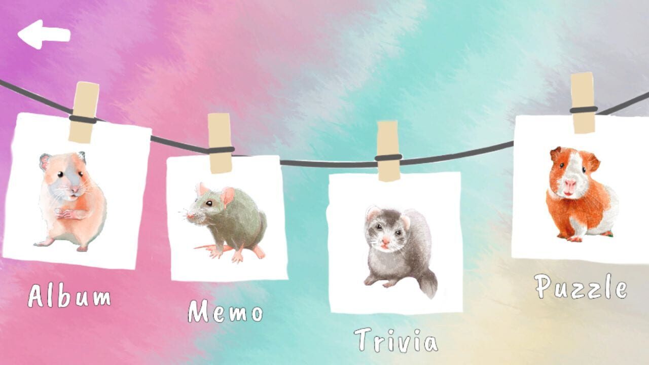 Capybara and Friends Cozy Bundle