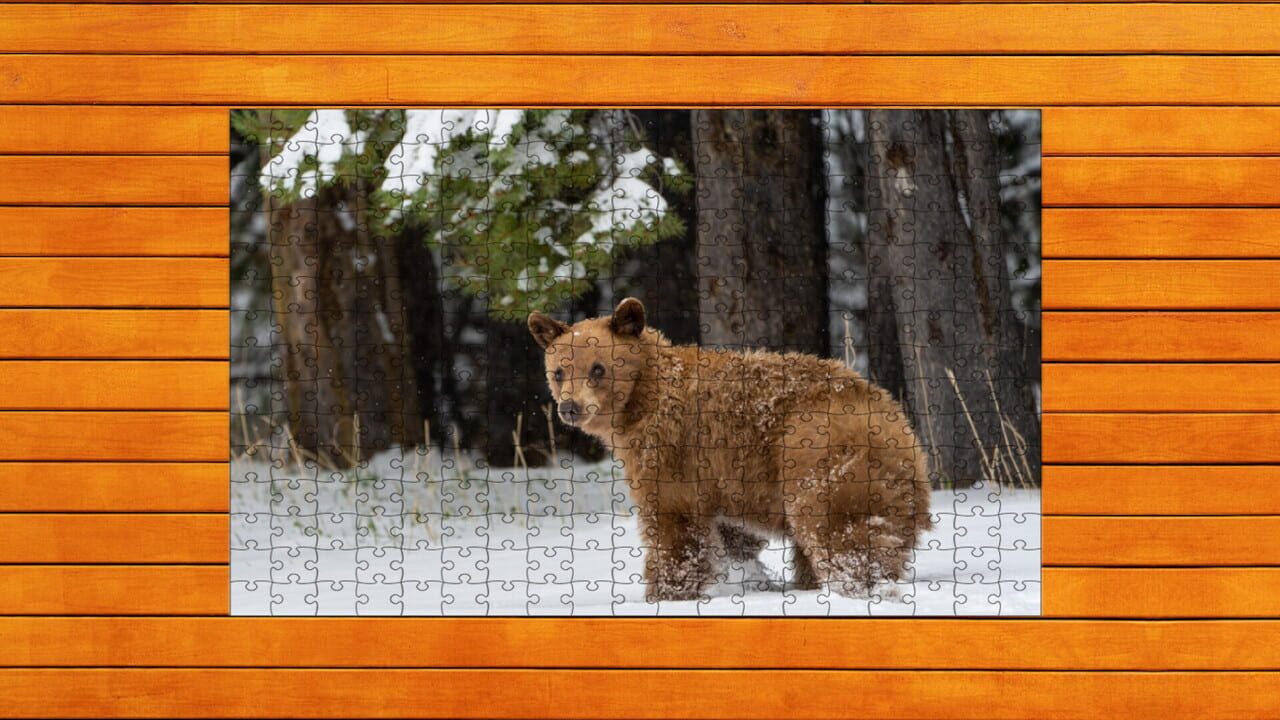 Bear vs. Wolf Jigsaw Puzzle: Expansion Pack 5