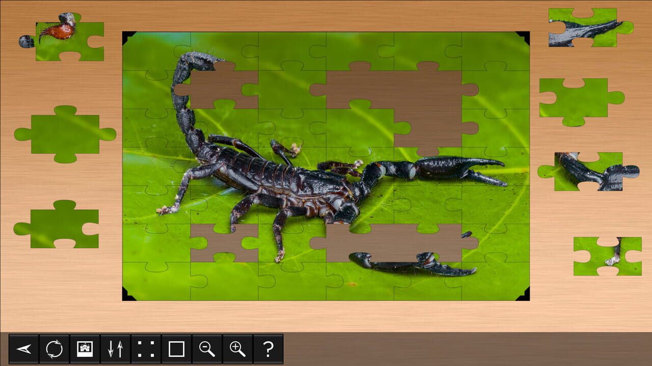 Jigsaw Puzzle World: Arachnids