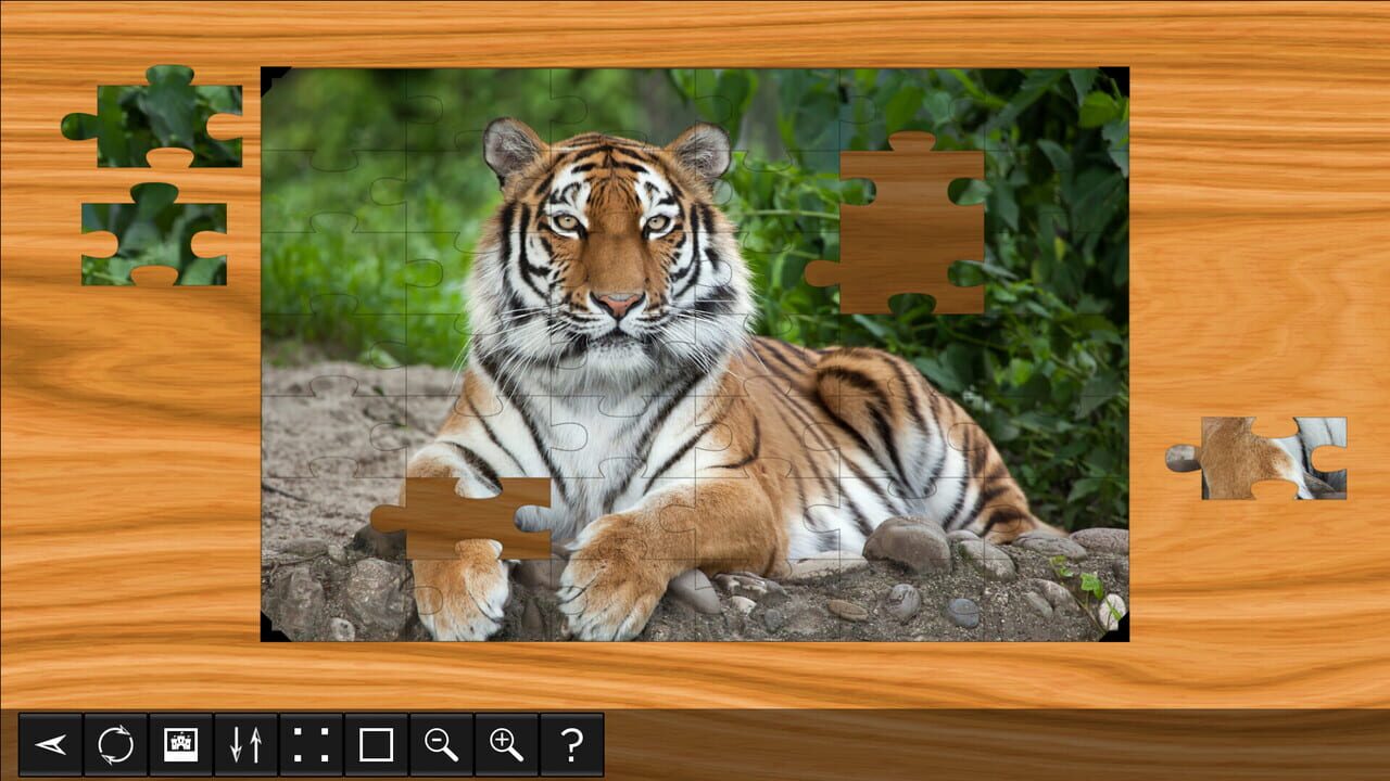 Jigsaw Puzzle World: Lions & Tigers