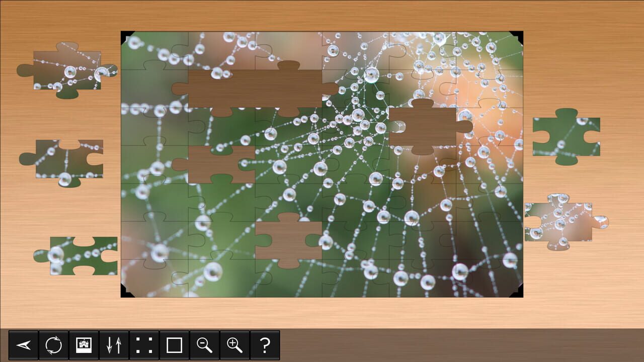 Jigsaw Puzzle World: Arachnids