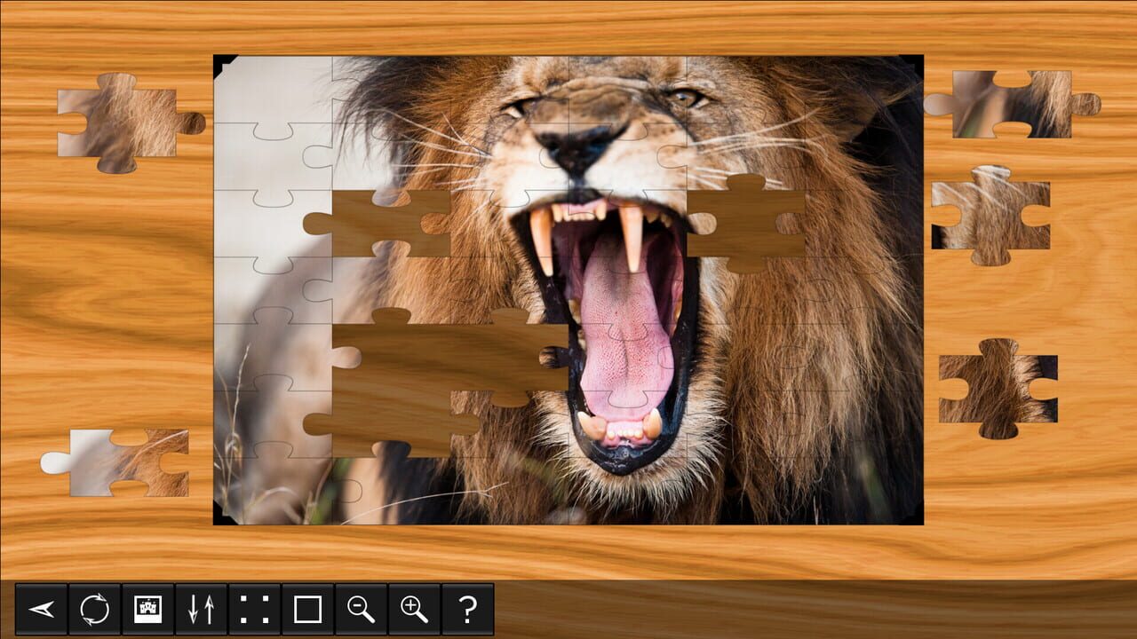 Jigsaw Puzzle World: Lions & Tigers
