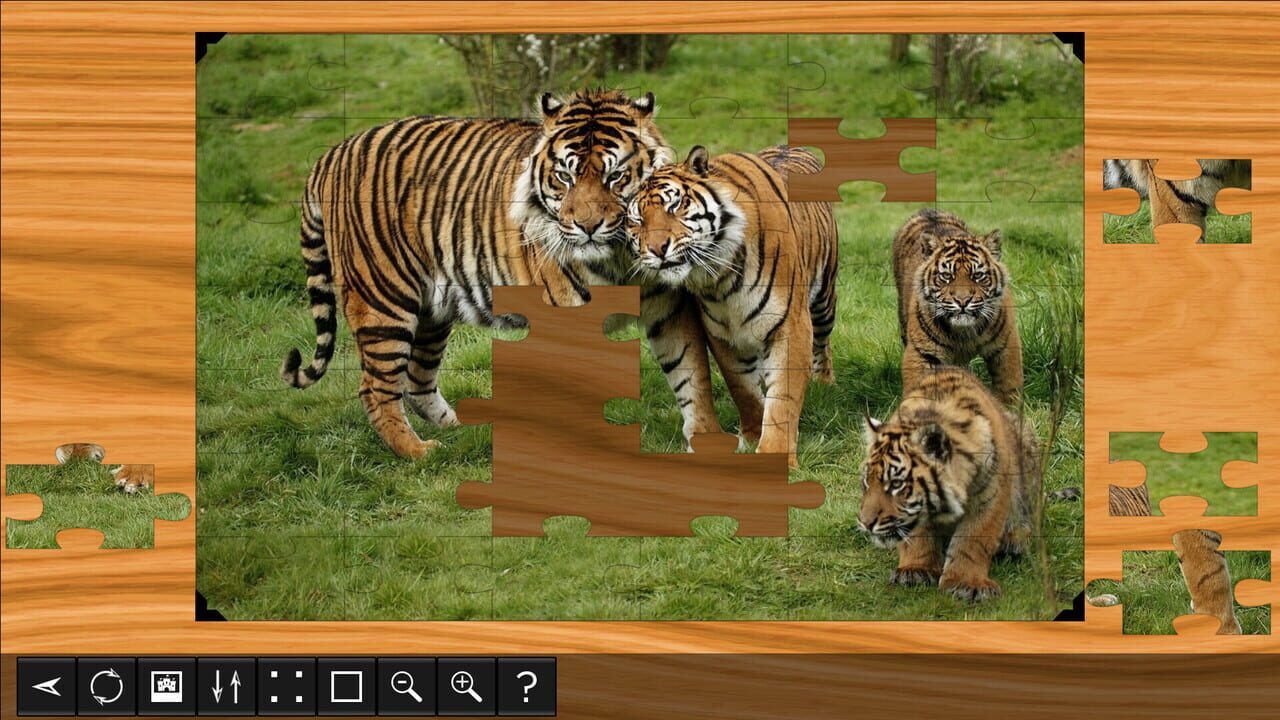 Jigsaw Puzzle World: Lions & Tigers