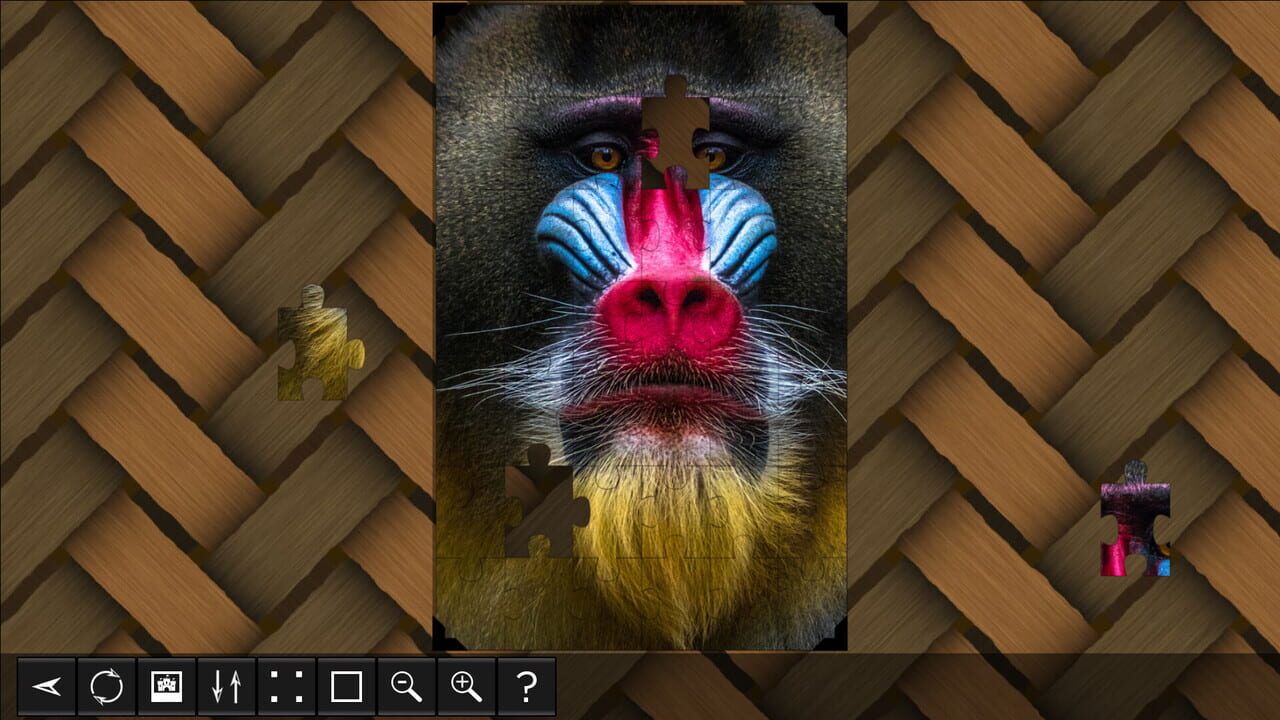 Jigsaw Puzzle World: Primates