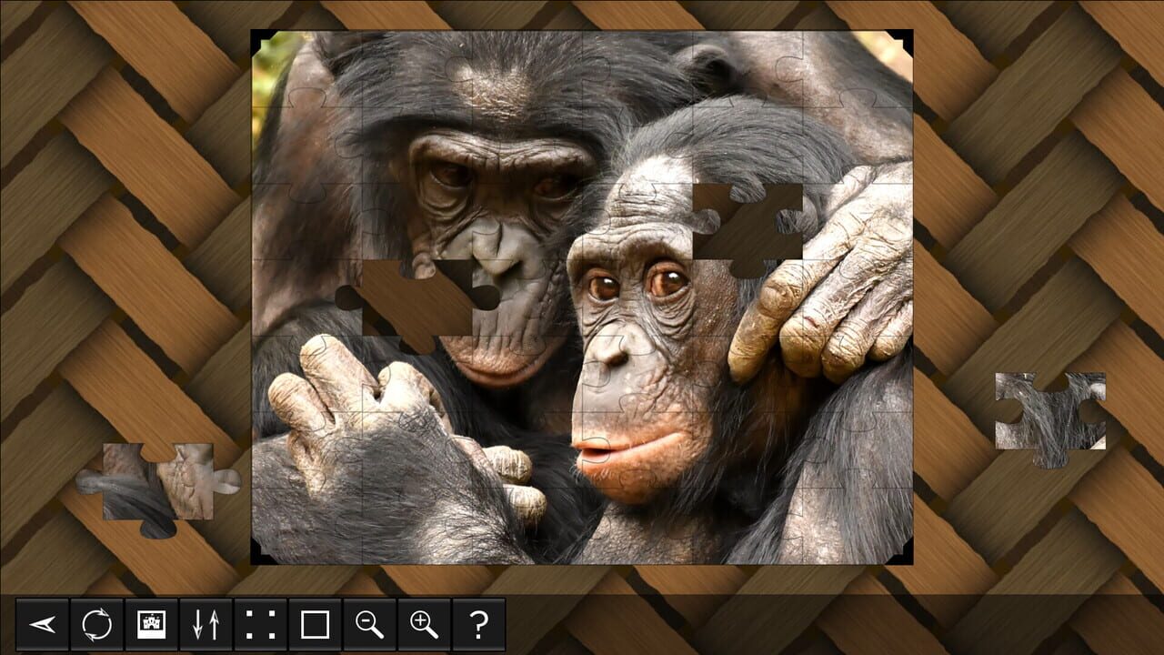 Jigsaw Puzzle World: Primates