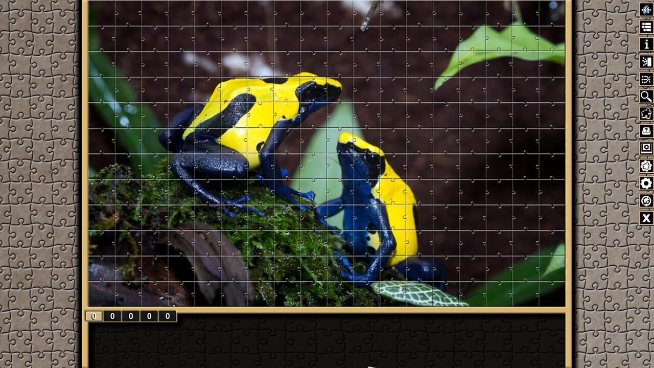 Pixel Puzzles Traditional Jigsaws: Frogs