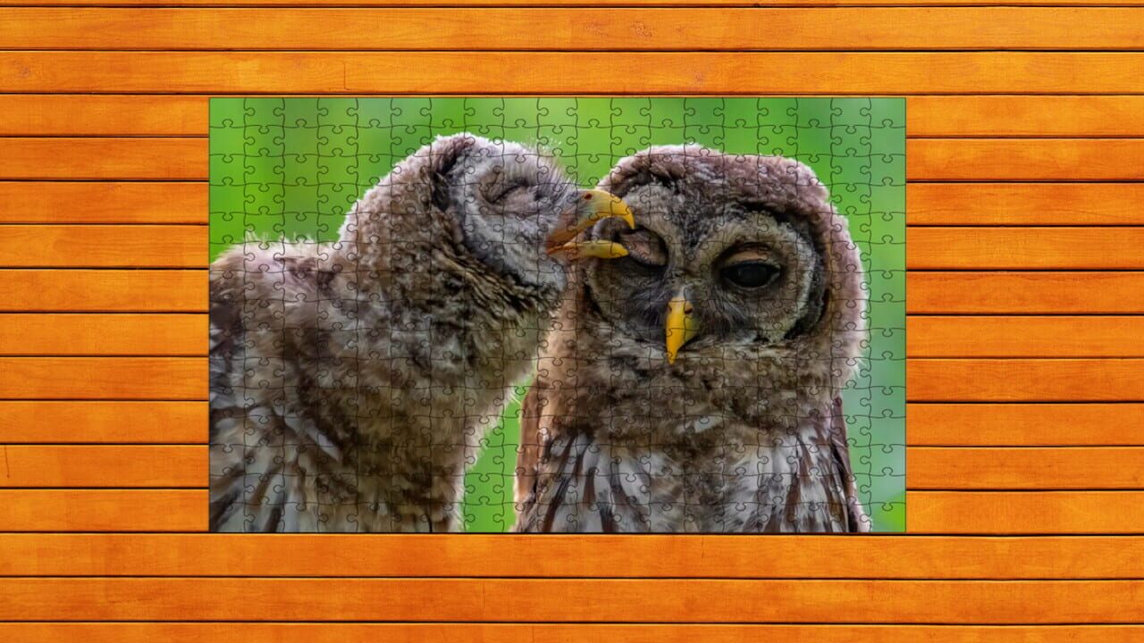 Whispers of Wings Jigsaw Puzzles: Expansion Pack 4