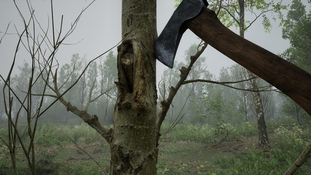 Forest Doesn’t Care