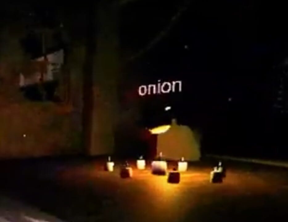 Shrek: The Forbidden Onion