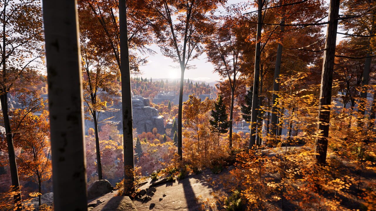 Prologue: Go Wayback!