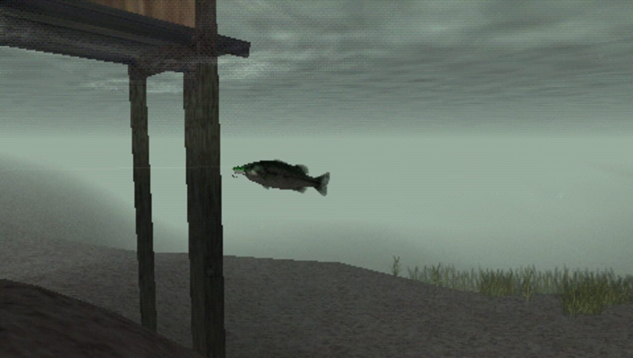 Reel Fishing: The Great Outdoors