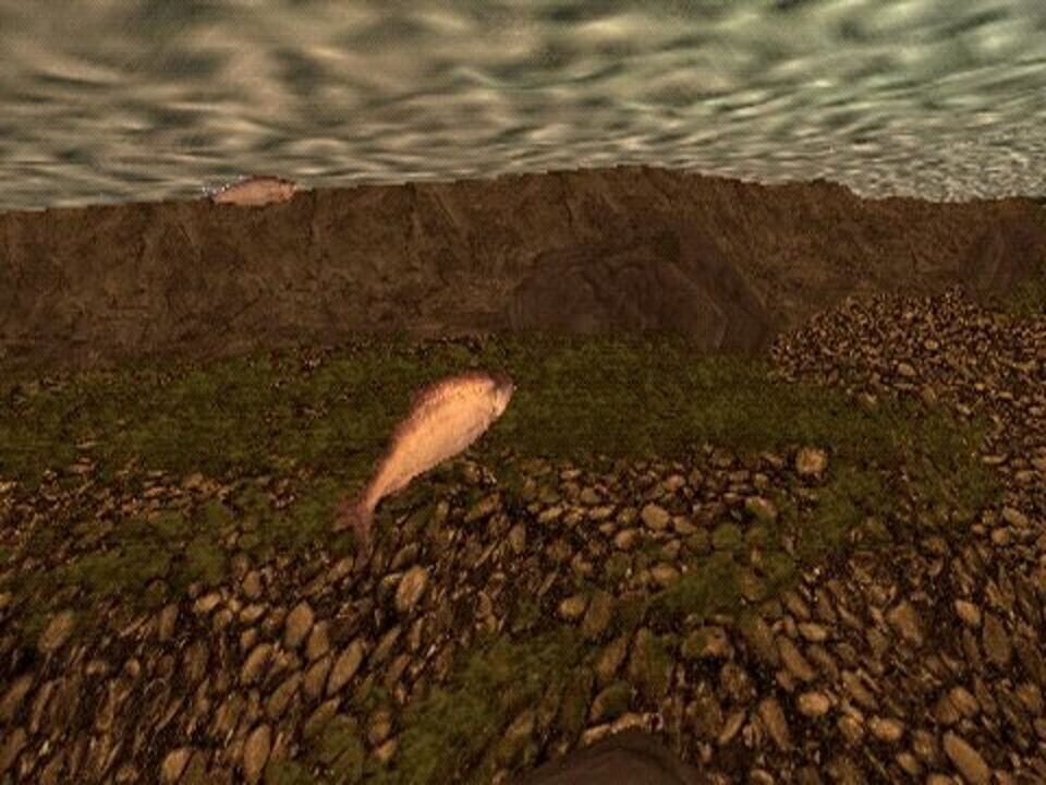 Reel Fishing: The Great Outdoors