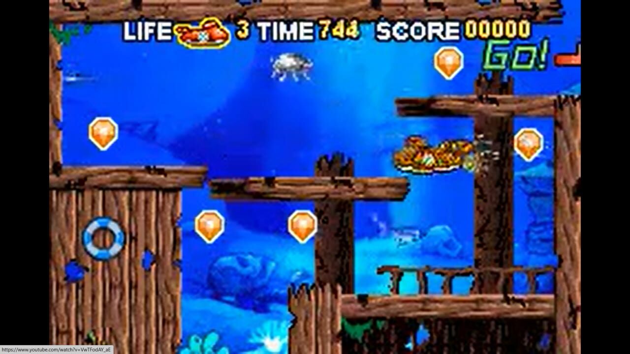 Rapid Stream