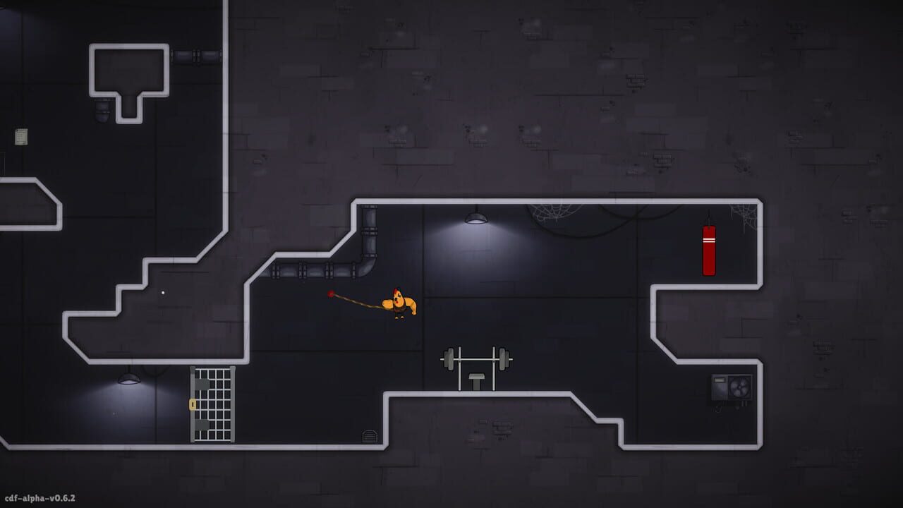 Chickens Don’t Fly