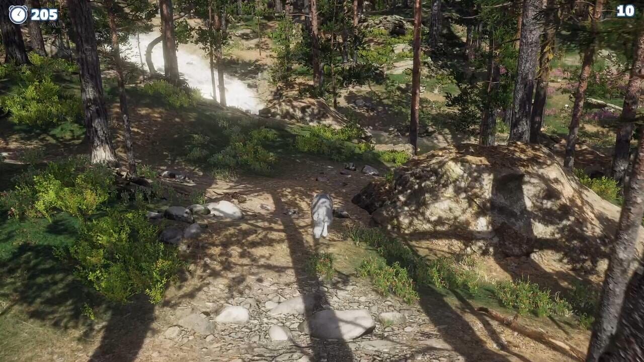 Cazzarion: Raccoon Valley