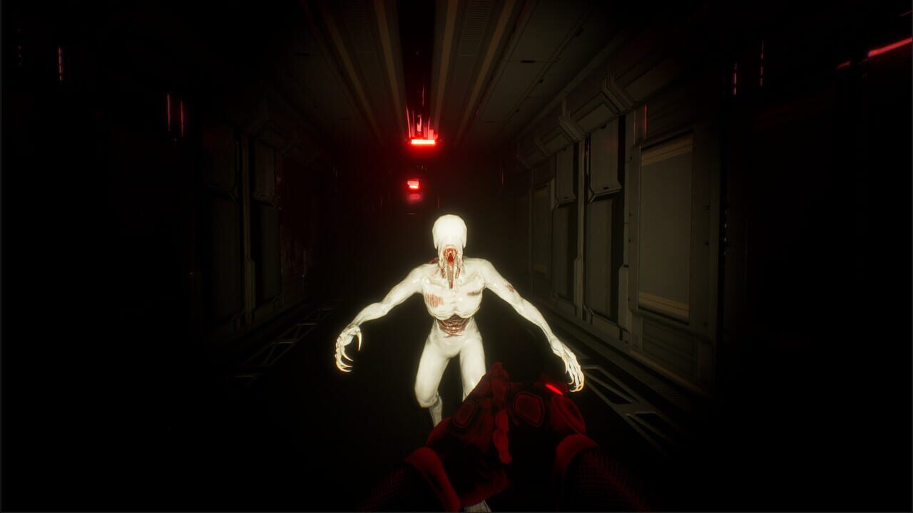 Void Raider