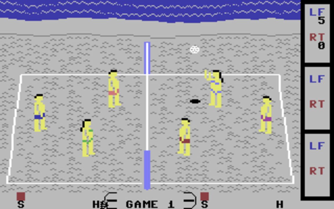 Beach Blanket Volleyball