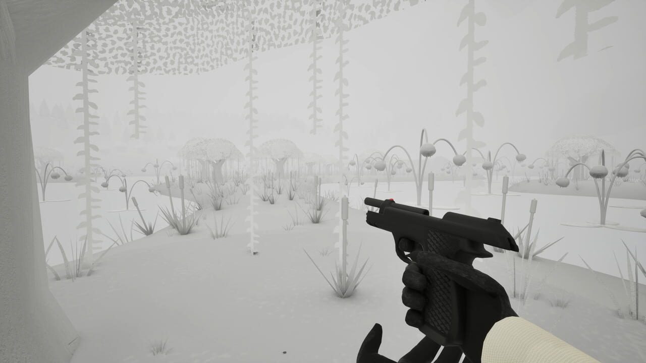 White Forest