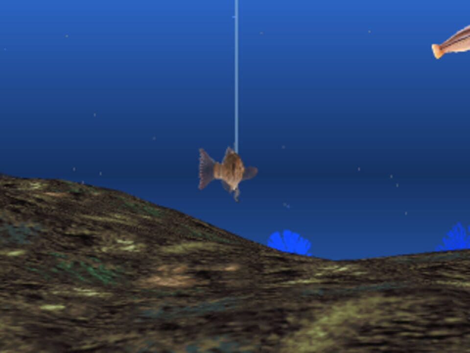 Reel Fishing II
