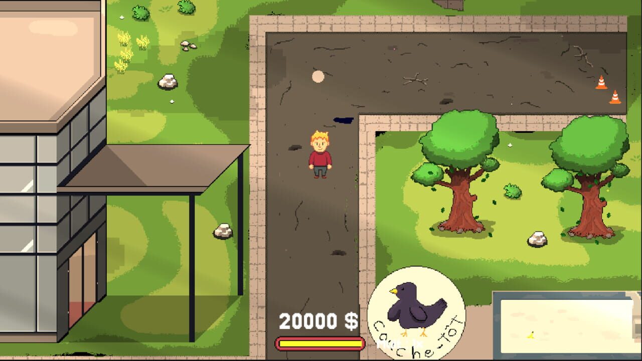 Bling Bling Bankruptcy