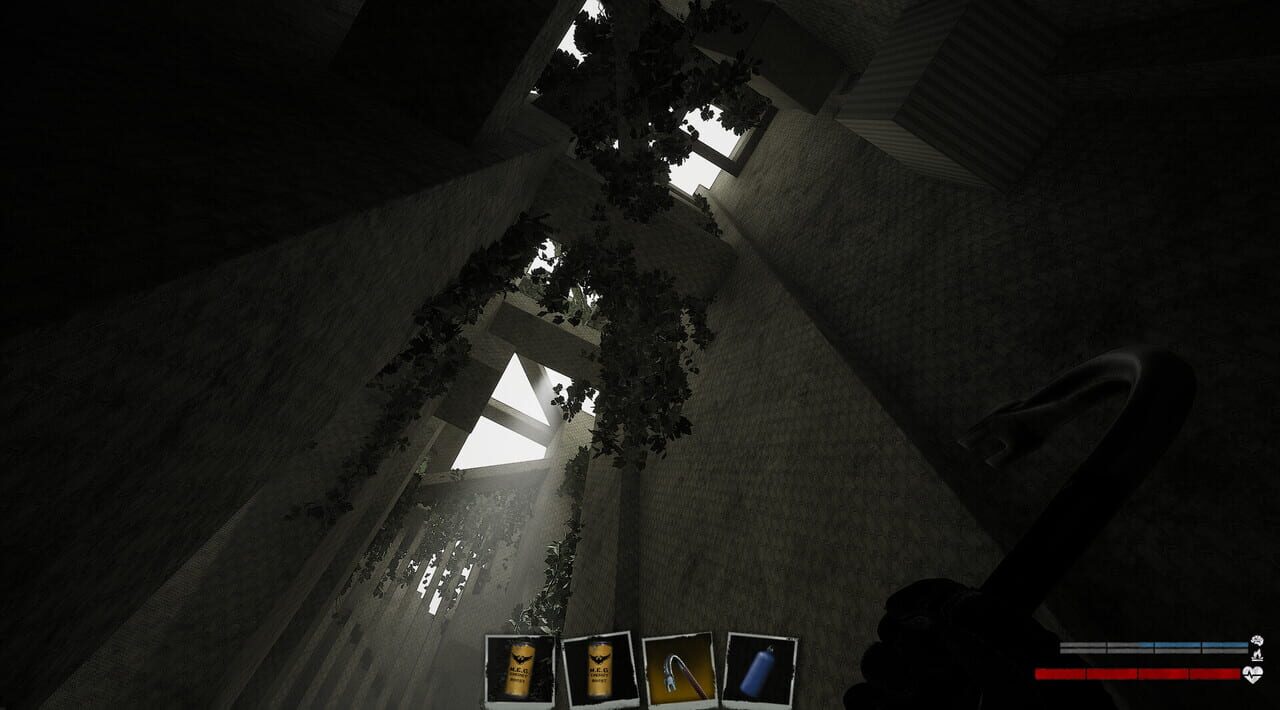 Backrooms Lost Runners