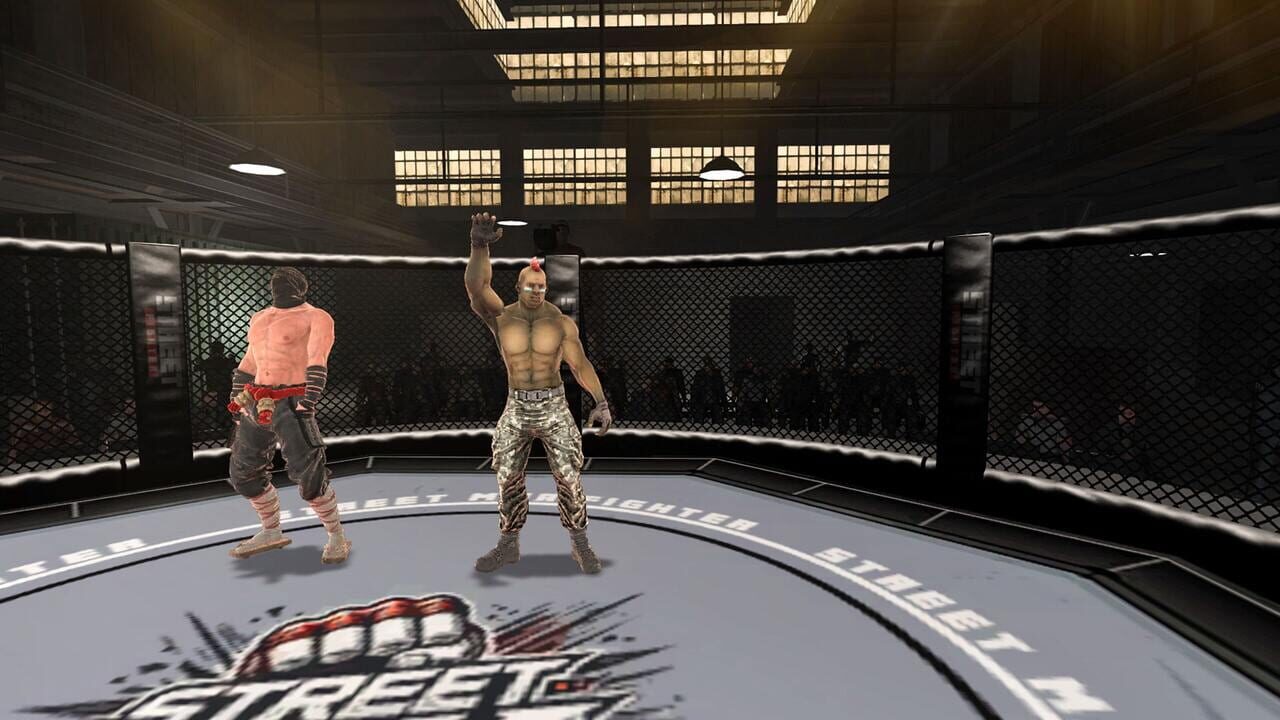 Street Combat: Ultimate MMA Fighters