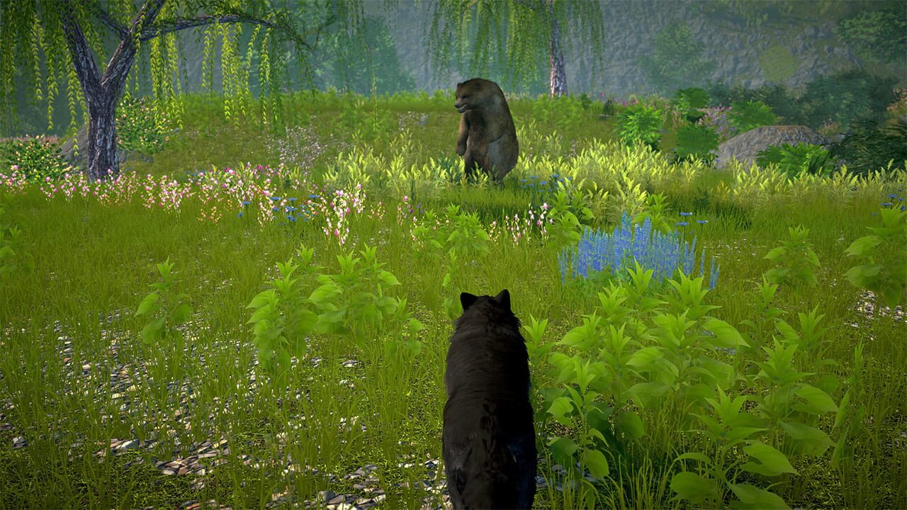 Wolf Simulator 2025: Wild RPG Survival